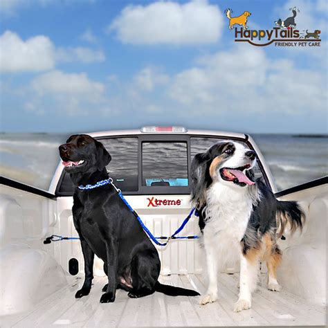 Why are you looking _____ the window? California Car and Truck Pet Laws | Dog leash, Dogs, Dog ...