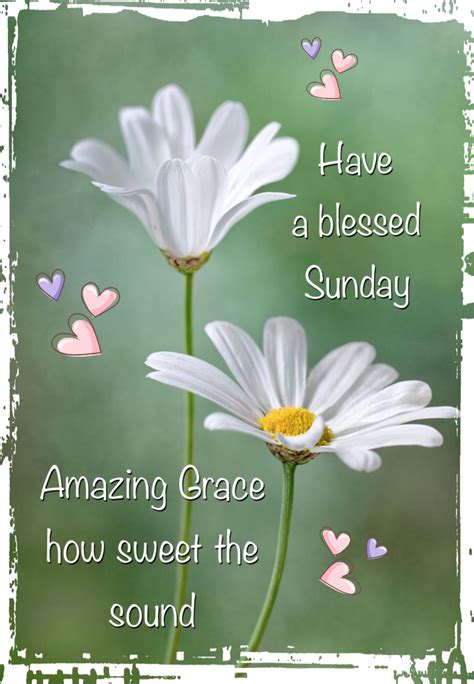 Have A Blessed Sunday From Michele Blessed Sunday Have A Blessed