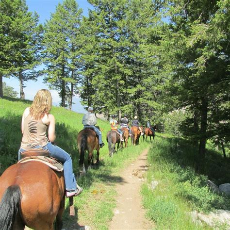 The 10 Best Jackson Hole Horseback Riding Tours With Photos