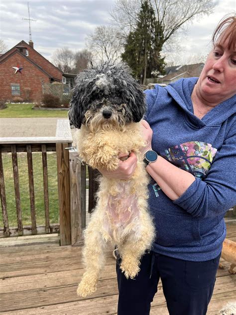 FREEdom Tails Ohio