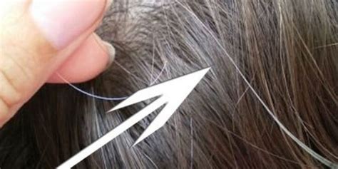 Sul capello bianco viene fuori un arancione. Capelli bianchi, come coprirli naturalmente o con tinte