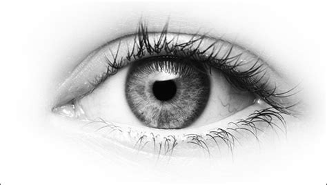 Menurut mitos, mata berkedut memberikan suatu pertanda tersendiri. Mata Kiri Bawah Kedutan Tandanya Apa? Ini Penjelasan ...