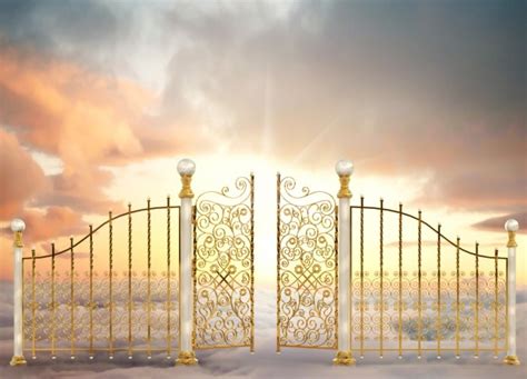 Pearly Gates The Linked In Man