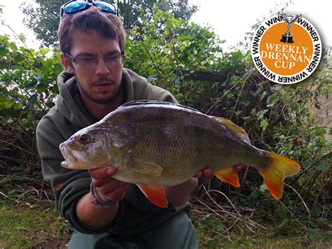 Surprise Perch Haul From The River Severn | Drennan International
