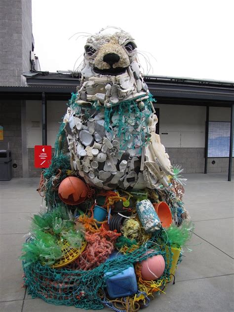 Our Very Own Lidia The Seal Of Debris Constructed By