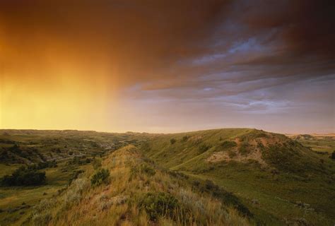 Grasslands Explained National Geographic Society