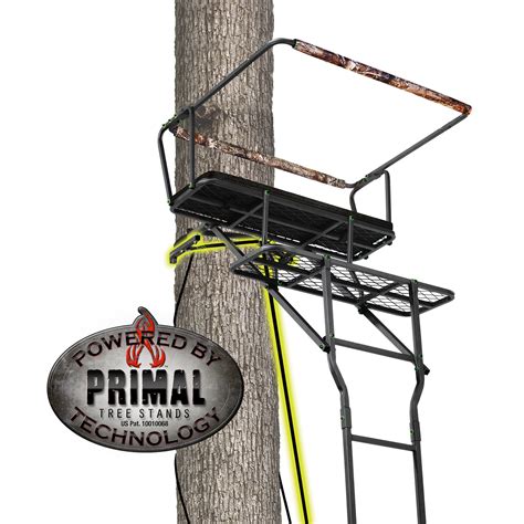 Realtree 15 Air Strike Two Person Hunting Ladder Tree Stand Wjaw