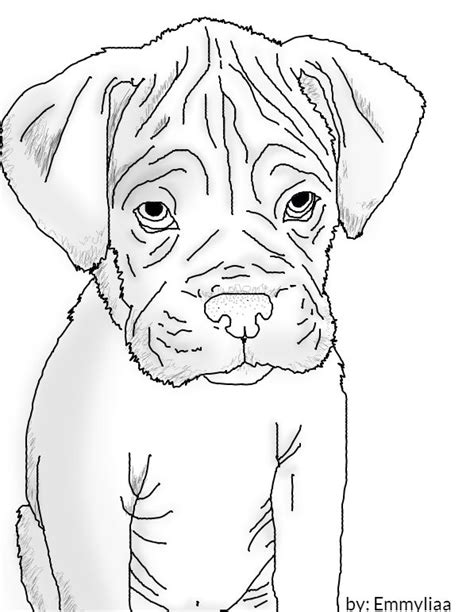 Coloring Pages Printable Boxer Puppies Anayaaxcooper