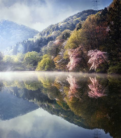 Spring Reflection By Jaewoon U 500px