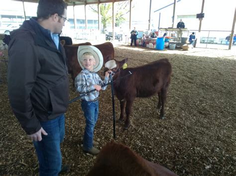 Kids And Cows Helps Prepare Next Generation For Agriculture