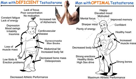 Levels Of Testosterone As Per Age Why This Hormone Is Essential In