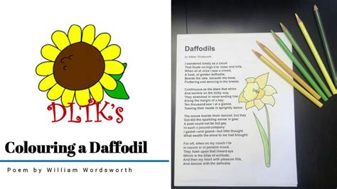 Colouring A Daffodil Poem By William Wordsworth Youtube