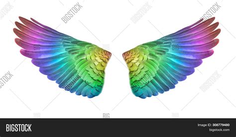 Colorful Bird Wings Image And Photo Free Trial Bigstock