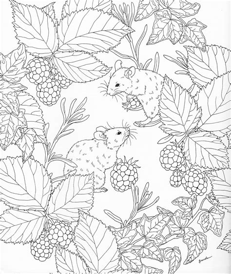 Get Free Nature Coloring Pages For Adults Png Colorist