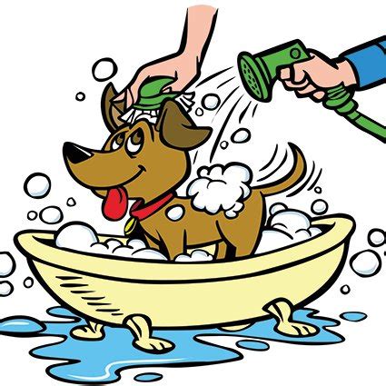 On 07/11/2019 the equipment performed 12 car washes. ALL PAWS PET WASH (@AllPawsPetWash) | Twitter