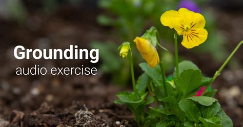 We did not find results for: Grounding Exercise (Interactive) | Therapist Aid