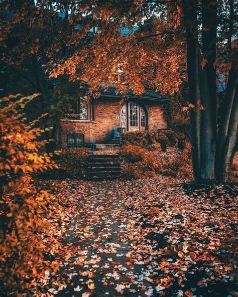 17 Pics That Prove Why Fall Is The Best Season Of The Year Feels