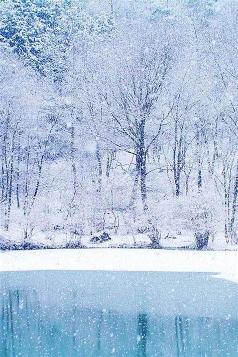 Free Download Beautiful Winter Day Desktop Wallpaper 1920x1080 For