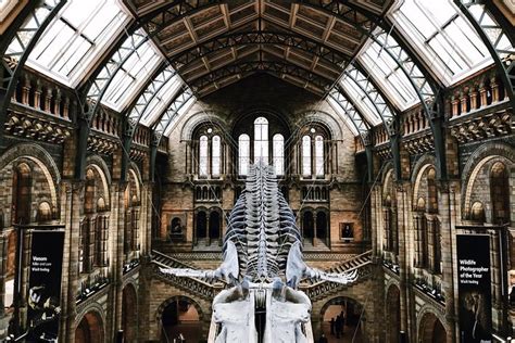 The Natural History Museum London Guided Tour Semi Private 8ppl Max 2023