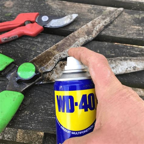 How To Get Rid Of Rust From Tools Wd40 India