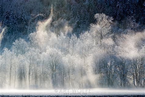Winter Photos From Washingtons Skagit Valley Art Wolfe