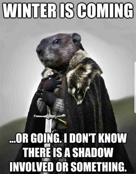 Collection Of Groundhogs Day Memes 2021 Guide For Geek Moms