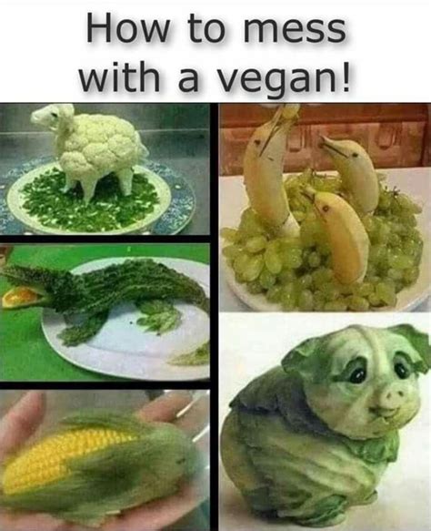 Pin By Floyd Angela Gamboa On Humor In 2020 Vegetarian Jokes Vegan