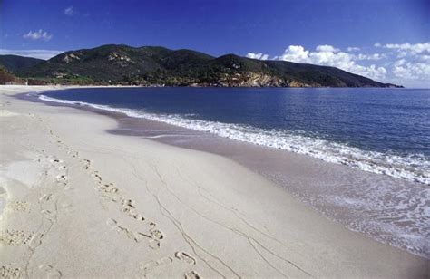 Appartamenti bilocali e trilocali, sono ubicati in una zona molto tranquilla e vicina a tutti i servizi godendo quindi di una posizione privilegiata. Isola d'Elba-Appartamenti Elbamar Campo a Marina di Campo