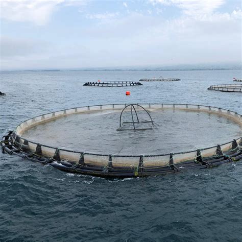 Ocean Fish Farming Offshore Fish Cages Aquaculture Cages HDPE Floating