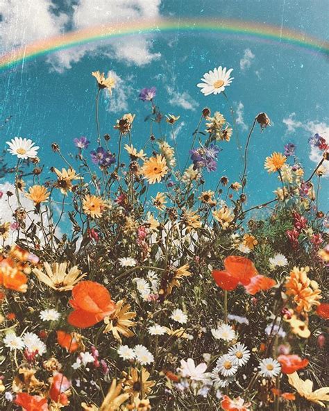 Find & download the most popular aesthetic photos on freepik free for commercial use high quality images over 8 million stock photos. Siobhán on Instagram: " | Flower aesthetic, Spring ...
