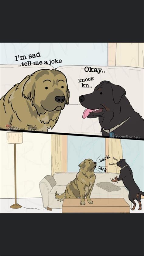 Pin By Wendy Carolan Ayers On Humour Me Knock Knock Jokes Dog Jokes