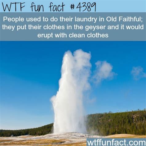 Old Faithful Wtf Fun Facts Wtf Facts Pinterest Wtf Fun Facts