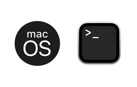 Macos Command Line Tools You Might Not Know About