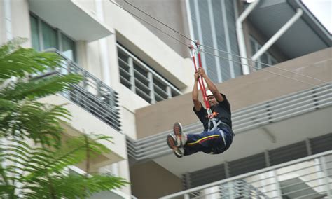 Borang-Borang