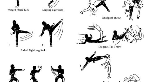 How To Fight Karate Moves Karate Choices