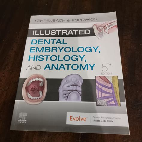 Illustrated Dental Embryology Histology And Anatomy