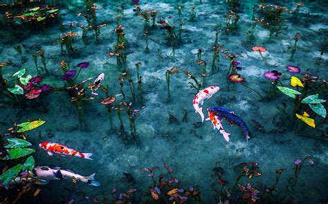 Wallpaper Artwork Painting Pond Fish Plants Water Leaves Koi