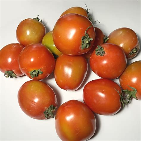 Tomato / Kamatis (1 Kilo) - Online Palengke