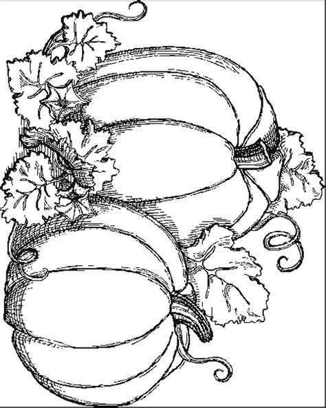 Free Printable Coloring Pages For Adults Fall
