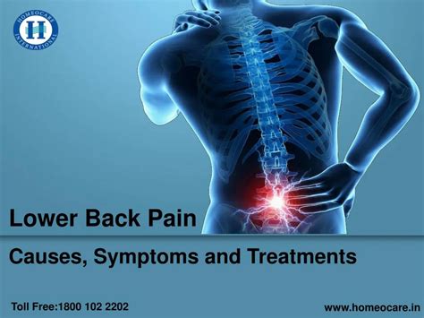 Ppt Lower Back Pain Causes Symptoms And Treatments Powerpoint
