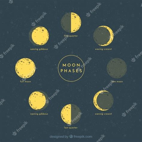 Sketches Of Lunar Phases Free Vector