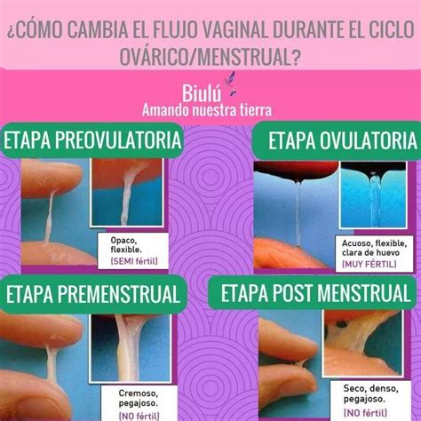 Flujo Vaginal Durante El Embarazo Es Normal Tener Flujo En El Embarazo