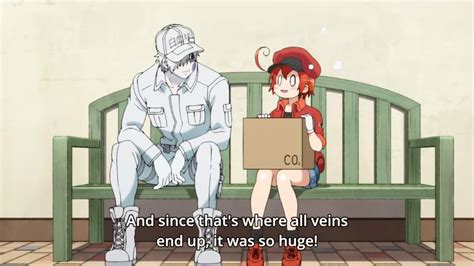Cells At Work Episode 8 Anime Amino