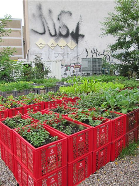 By natalie fabbri, leadership in urban agriculture internship, summer iii 2020. 13 Unique DIY Raised Garden Beds