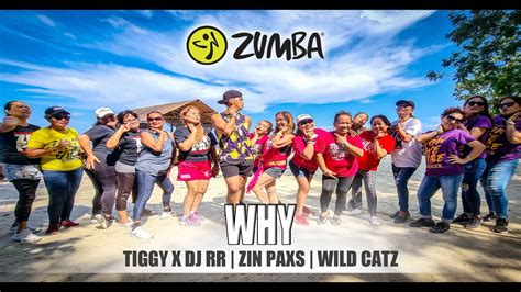 Why By Tiggy X Dj Rr Zin Paxs Wild Catz Easy Workout Disco Hits
