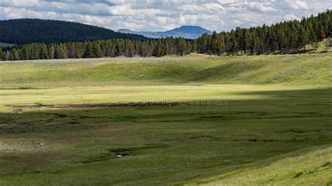 Hayden Valley In Yellowstone Stock Photo Image Of River Nature 61888248