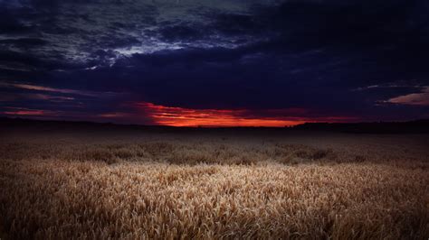 2560x1440 Dark Field Covered By Clouds Sunset 5k 1440p Resolution Hd