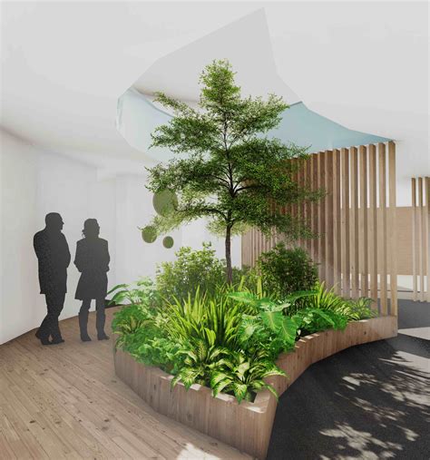 Air Purifying Plants In Biophilic Interiors — Wellness Spaces Gym