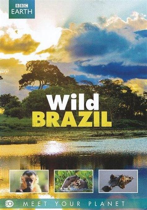 Wild Brazil Dvd Dvds