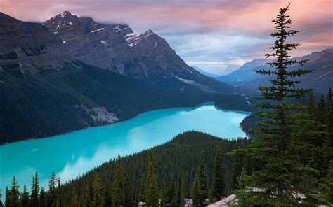 Enjoy cool canada wallpapers page 1 for android, ios, macox, linux, windows and any others gadget or pc. Download wallpapers Peyto Lake, 4k, sunset, mountains ...
